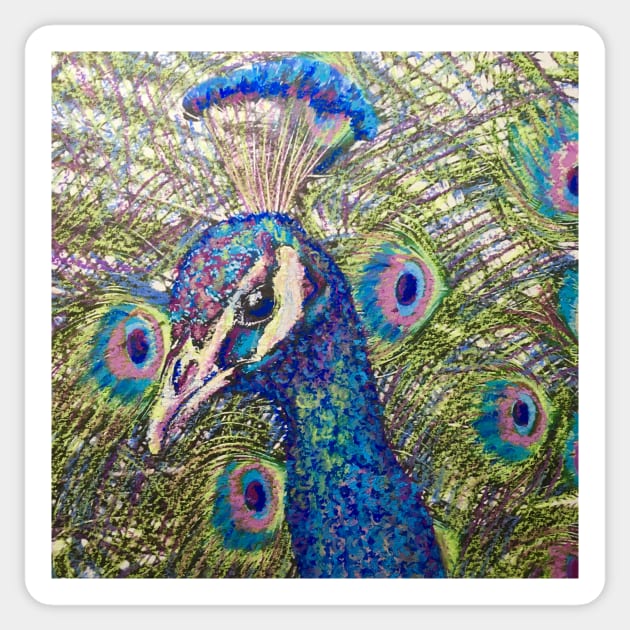 Bright Colourful Peacock Sticker by Merlinsmates